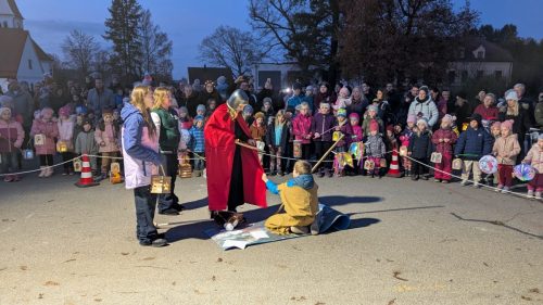 PXL 20251111 160724791