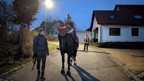 PXL 20251111 162513630